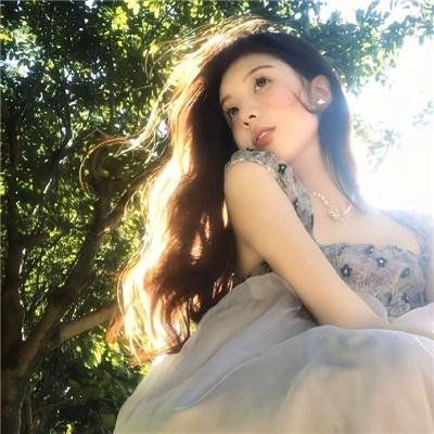 蜘蛛王国